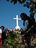 DSCF0 (27).JPG