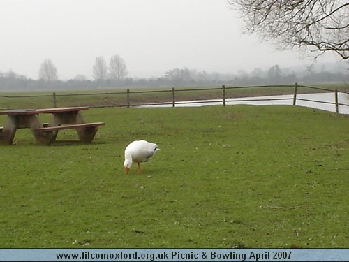 Picnic 14.04.07 & Bowling 21.04.07 FILCOMOXFORD 001.jpg